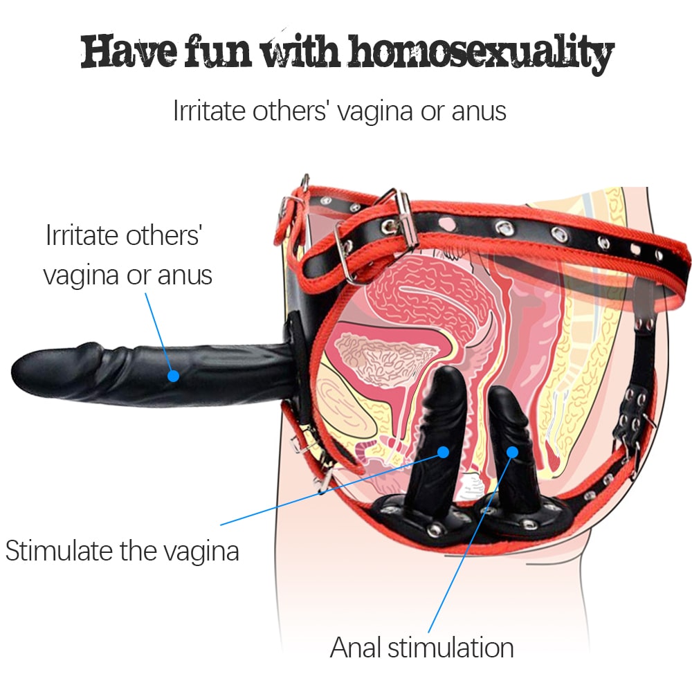 3 Removeable Silicone Double Sided Strapon Dildo with Harness Belt SM